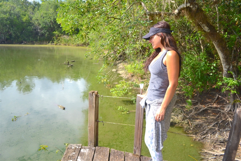Everglades-Florida-trail.JPG